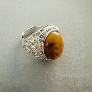 Adjustable Pietersite Ring